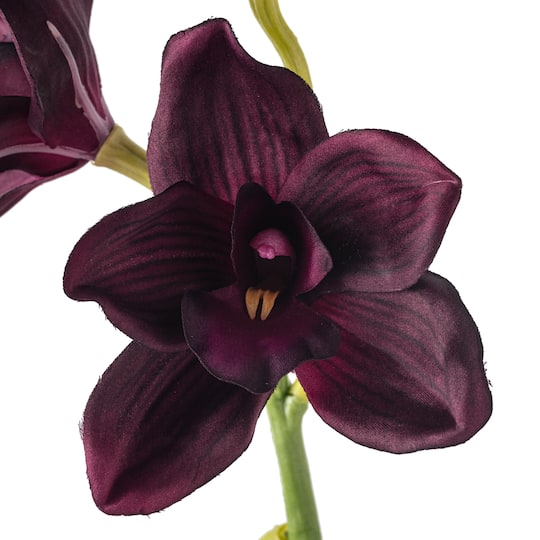 8 Pack: Plum Boat Orchid Spray by Ashland®